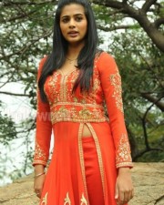 South Indian Actress Priyamani Pictures