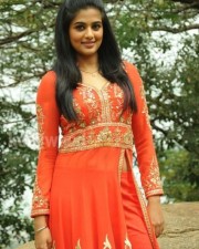 South Indian Actress Priyamani Pictures