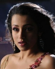 South Indian Actress Trisha Sexy Pictures