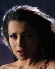 South Indian Actress Trisha Sexy Pictures