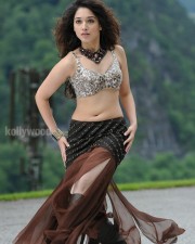 Spicy Tamanna In Badrinath Movie Stills