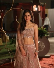 Srinivasa Kalyanam Heroine Raashi Khanna