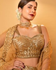 Stunning And Beautiful Raashi Khanna Photos