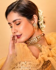 Stunning And Beautiful Raashi Khanna Photos