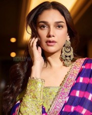 Stunning Ethnic Beauty Aditi Rao Hydari Heeramandi Anarkali Photoshoot Pictures 05