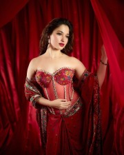 Stunning Tamannaah Bhatia in a Red Saree with a Floral Embroidered Corset Blouse Photos 08