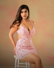 Stylish Yashika Aannand in a Pink Glam Outfit Pictures 06