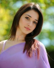 Tamanna Sexy Saree Pics