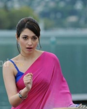 Tamanna Sexy Saree Pictures