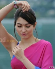 Tamanna Sexy Saree Pictures