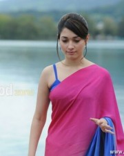 Tamanna Sexy Saree Pictures