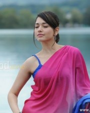 Tamanna Sexy Saree Pictures