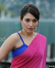 Tamanna Sexy Saree Pictures