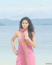 Tamil Actress Sunaina Photo Gallery