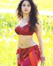 Tamil Actress Tamannah Sexy Stills