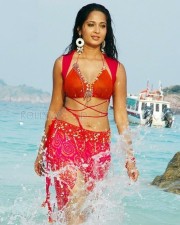 Tamil Telugu Actress Anushka Shetty Spicy Pictures