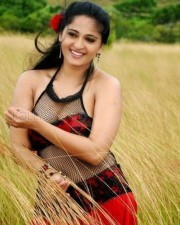 Tamil Telugu Actress Anushka Shetty Spicy Pictures