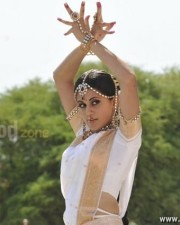 Tapsee In Traditional Saree Photos