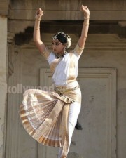 Tapsee In Traditional Saree Photos