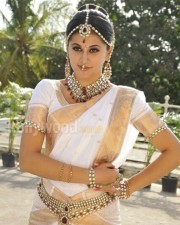 Tapsee In Traditional Saree Photos