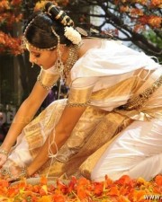 Tapsee In Traditional Saree Photos