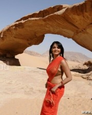 Telugu Actress Anushka Shetty Hot Pictures