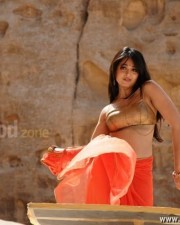 Telugu Actress Anushka Shetty Hot Pictures