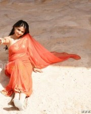 Telugu Actress Anushka Shetty Hot Pictures