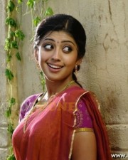 Telugu Actress Pranitha Sexy Stills