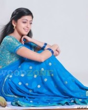 Telugu Actress Pranitha Sexy Stills