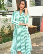 Telugu Actress Raashi Khanna Interview Pictures