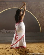 Tikka Movie Heroine Priyamani Hot Stills