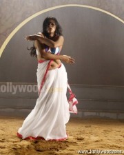 Tikka Movie Heroine Priyamani Hot Stills