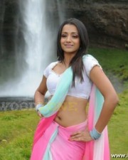 Trisha Hot Pics