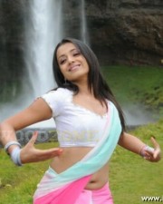 Trisha Hot Pics