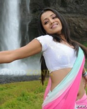 Trisha Hot Pics