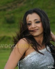 Trisha Hot Pics