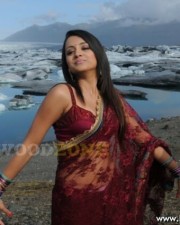 Trisha Hot Pics