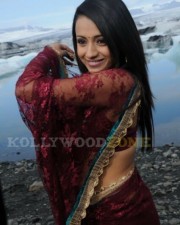 Trisha Hot Pics