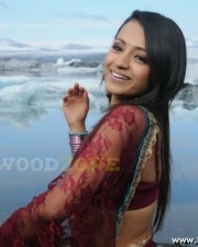 Trisha Hot Pics