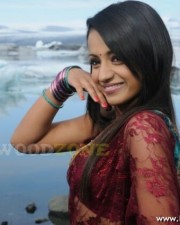 Trisha Hot Pics