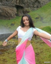 Trisha Hot Pics