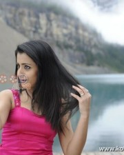 Trisha Hot Stills