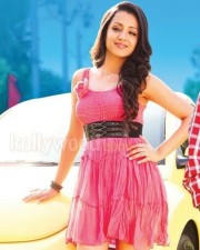 Trisha In Dammu Movie Photos