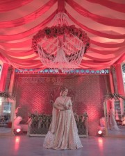 Actress Hansika Motwani at her Brother Engagement Photos