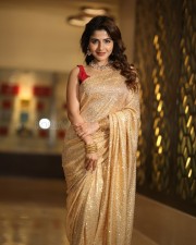 Actress Iswarya Menon at Spy Pre Release Event Photos 11