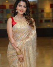 Actress Iswarya Menon at Spy Pre Release Event Photos 26