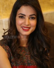 Actress Sonal Chauhan New Pictures