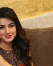 Actress Sonal Chauhan New Pictures