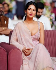 Elegant Beauty Sonal Chauhan in Pink Embroidered Dress Photos 01